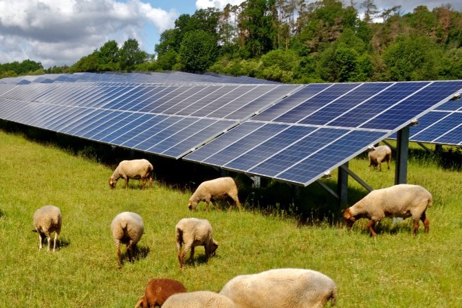 Kent solar farm approved