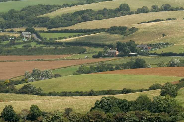 Stop blaming nature, MPs tell government