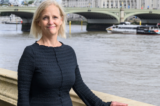 ACE backs planning bill amendment