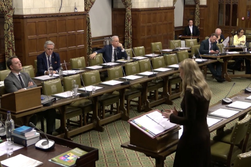 Consumer protection minister pours cold water on builders’ licence proposal