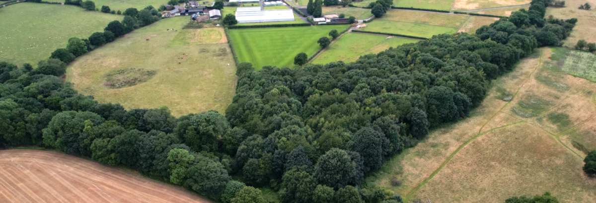 HBF calls for BNG reforms