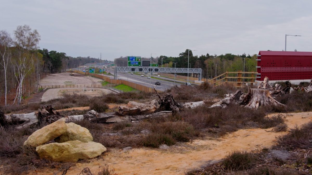 First heathland green bridge opens